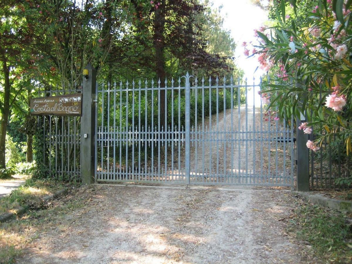 Villa In Campagna Costa Al Bagno Монтополи-ин-Валь-д'Арно Экстерьер фото
